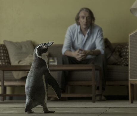 The Penguin Lessons