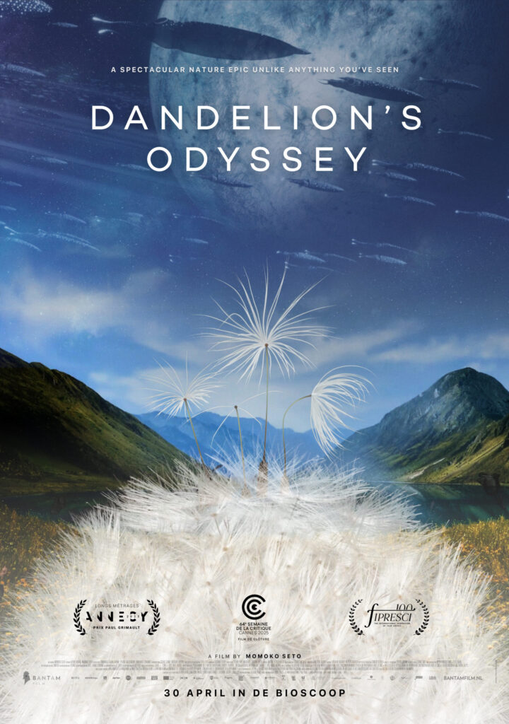 Dandelion’s Odyssey